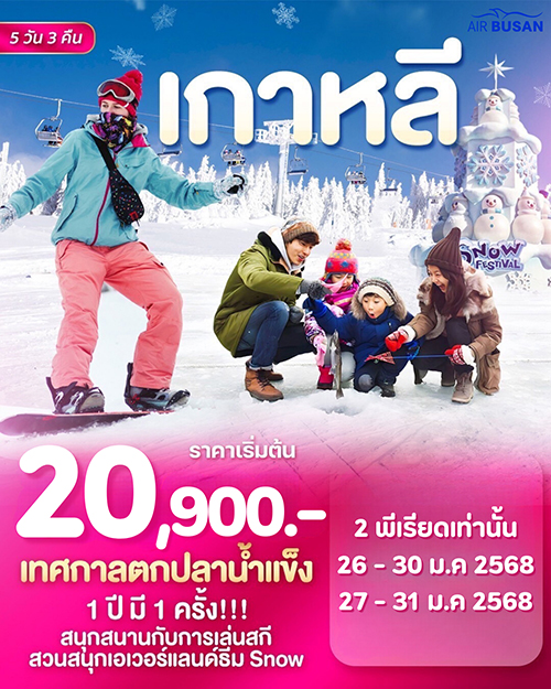 WDICN001.5 โปรแกรม  KOREA LOVE WINTER SKI 5D3N