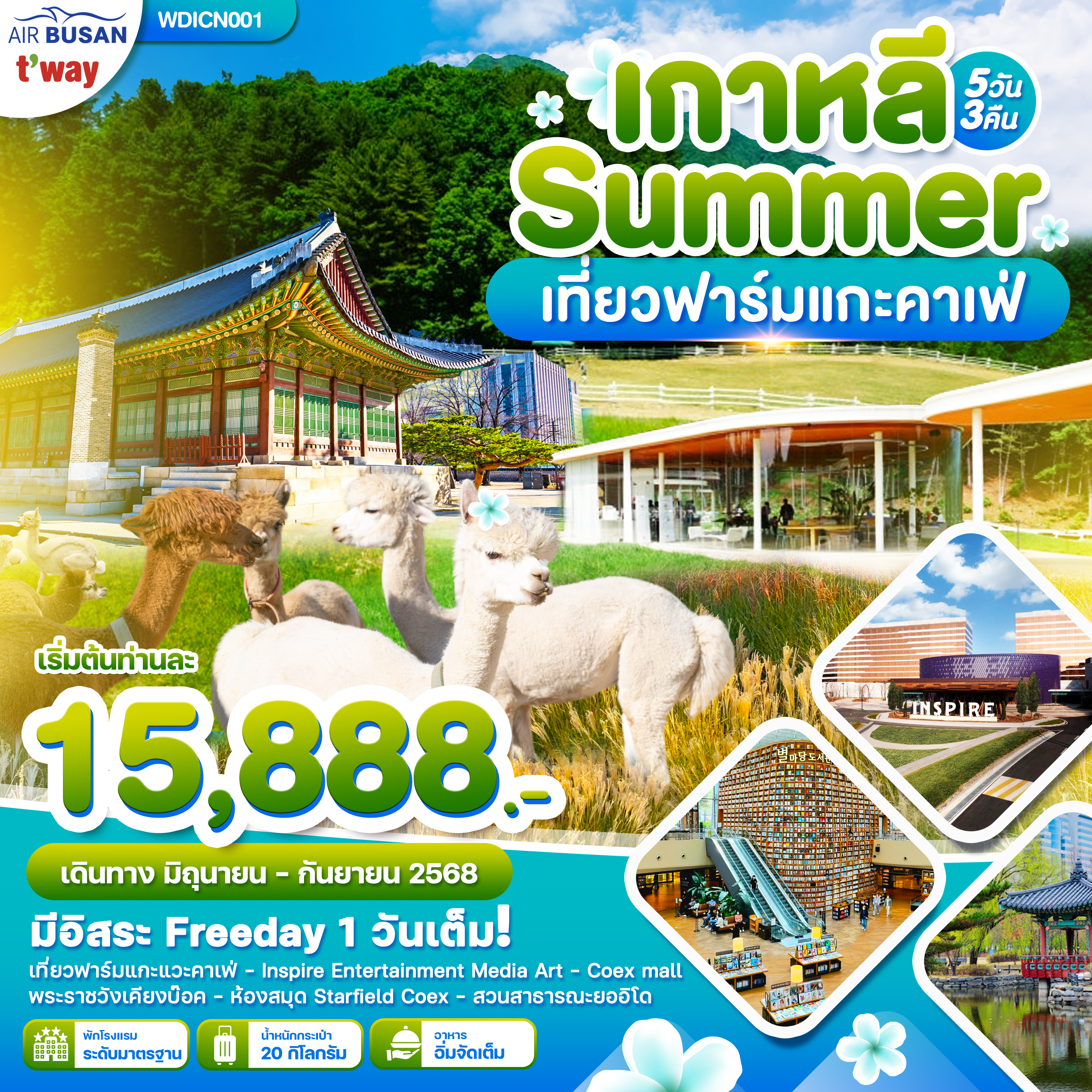 WDICN001 Wonder Korea Summer เที่ยวฟาร์มแกะ คาเฟ่ 5 วัน 3 คืน